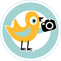 Bird with cam